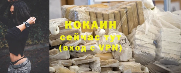 прущие грибы Беломорск