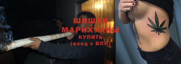 прущие грибы Беломорск