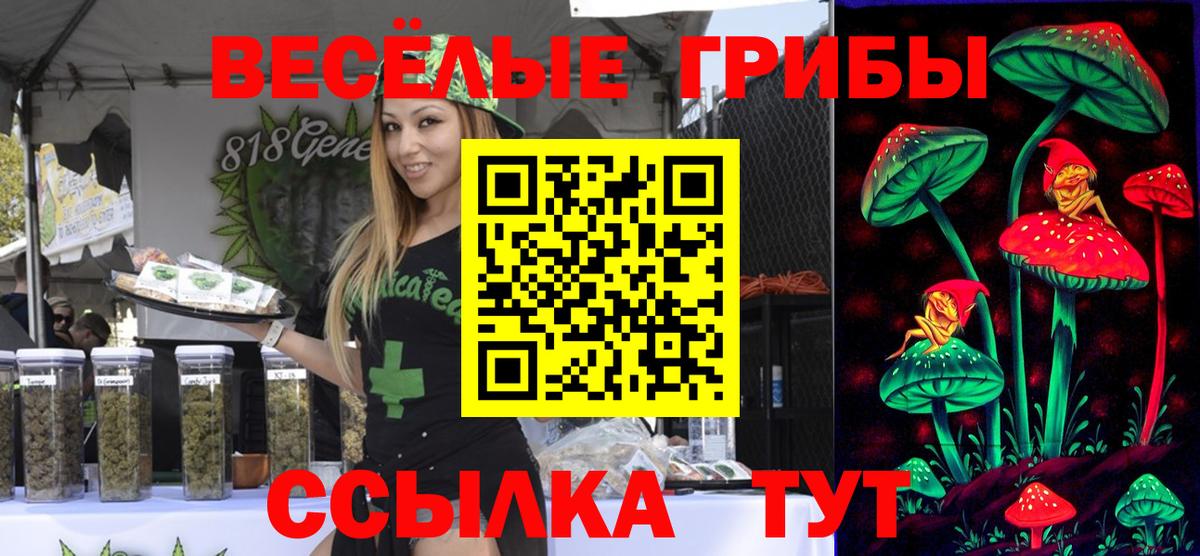 Псилоцибиновые грибы Psilocybine cubensis Печора